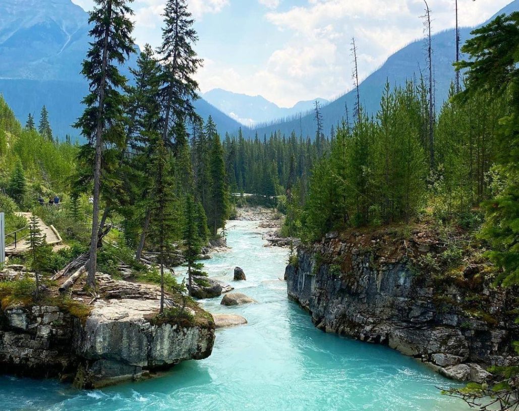 WhatsApp Image 2024-04-29 at 12.06.31 PM